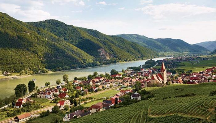 austrian-vineyards